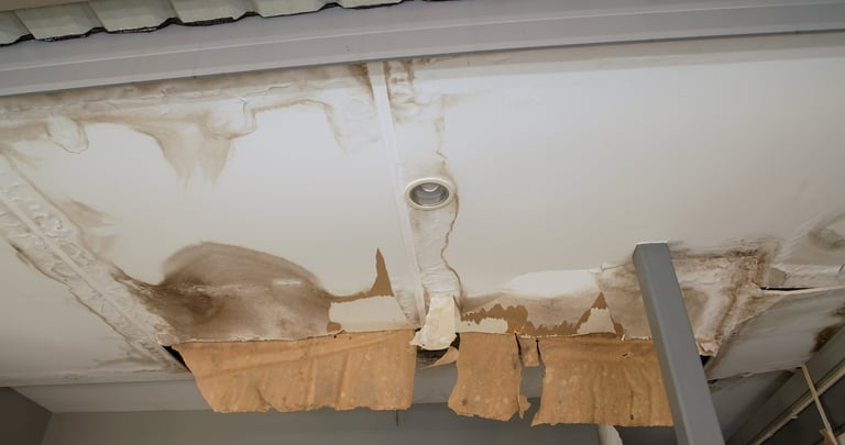 Mold Inspection services in Bowie, MD